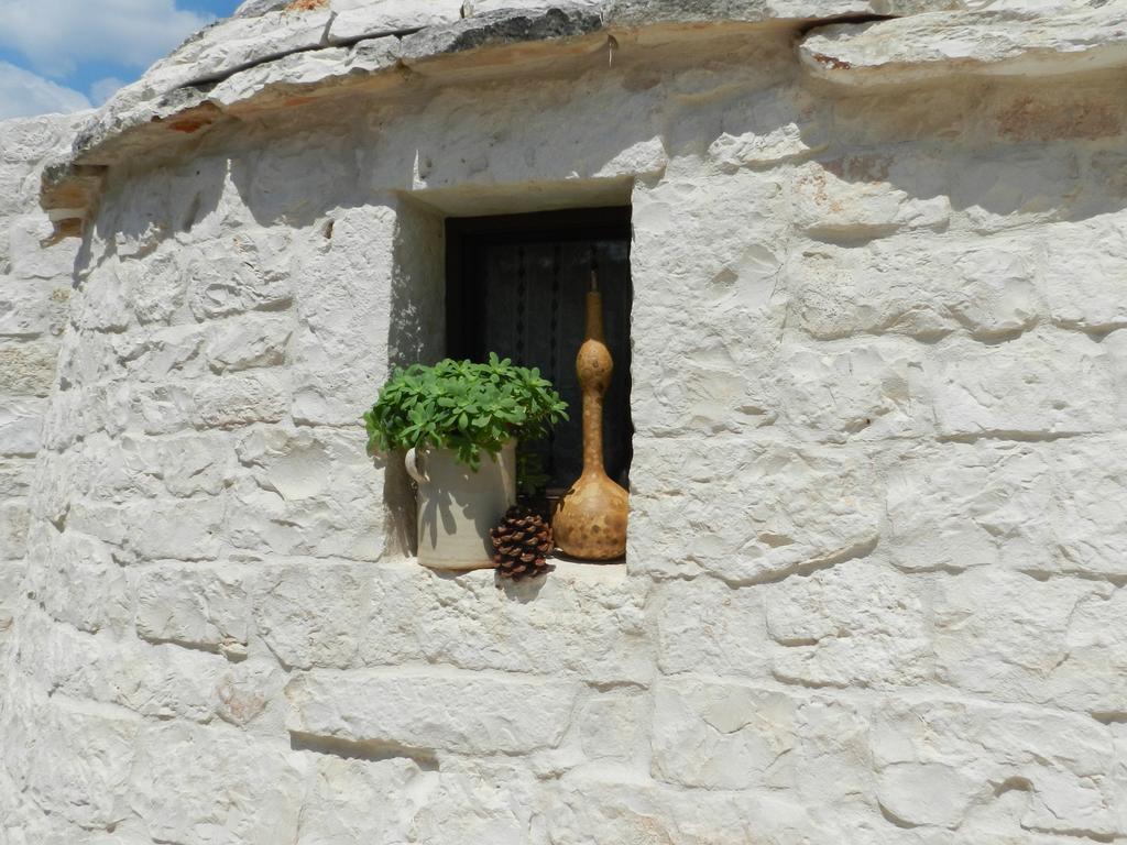 Pensjonat I Trulli Del Nonno Michele Alberobello Zewnętrze zdjęcie