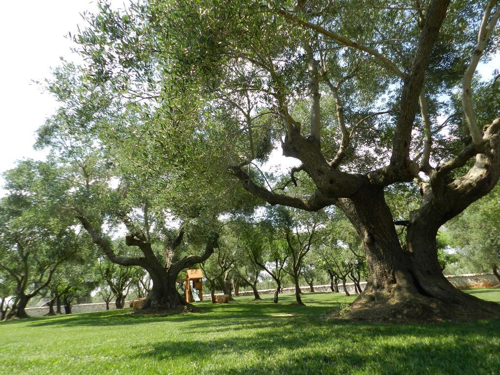 Pensjonat I Trulli Del Nonno Michele Alberobello Zewnętrze zdjęcie