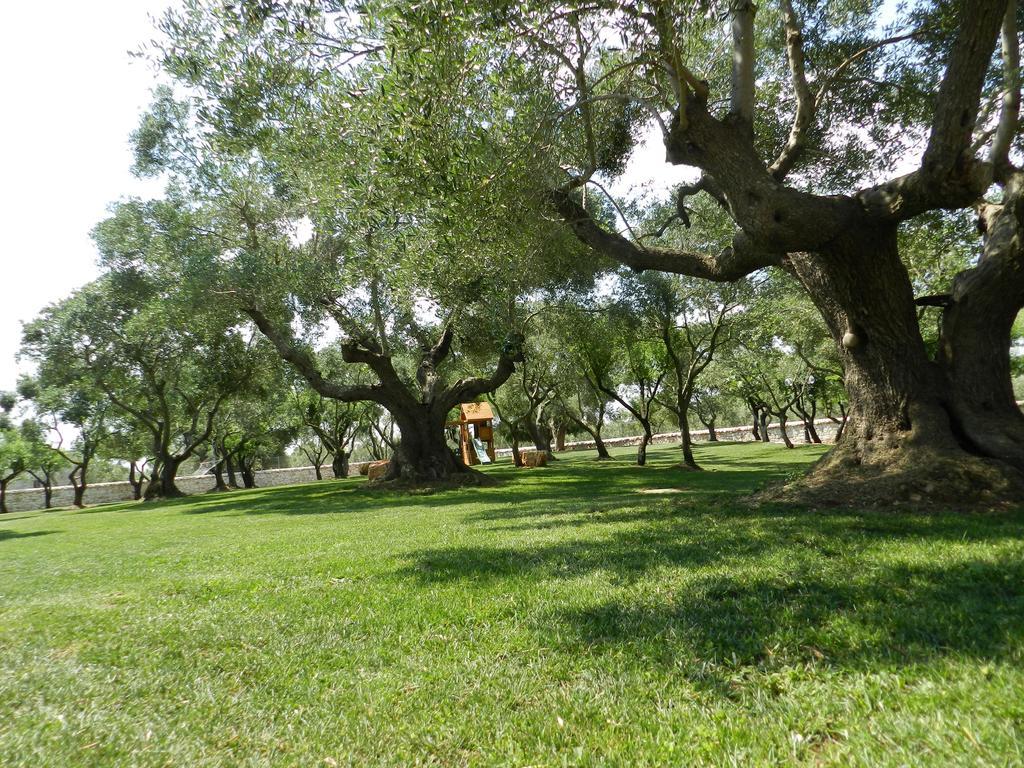 Pensjonat I Trulli Del Nonno Michele Alberobello Zewnętrze zdjęcie