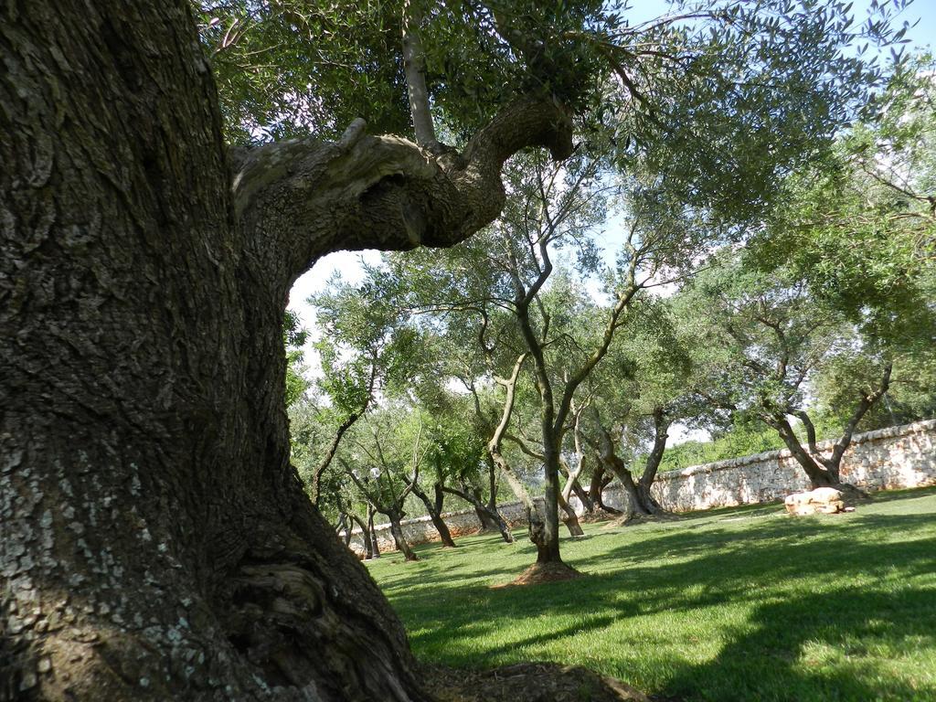 Pensjonat I Trulli Del Nonno Michele Alberobello Zewnętrze zdjęcie